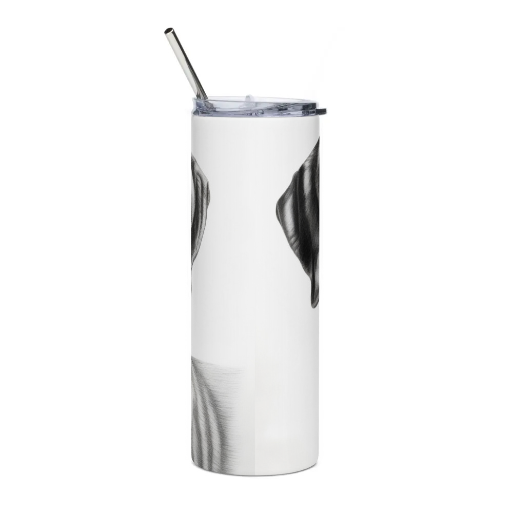 Stainless Steel Tumbler