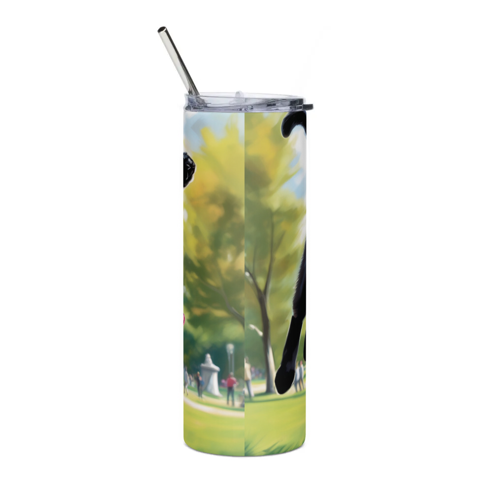 Stainless Steel Tumbler