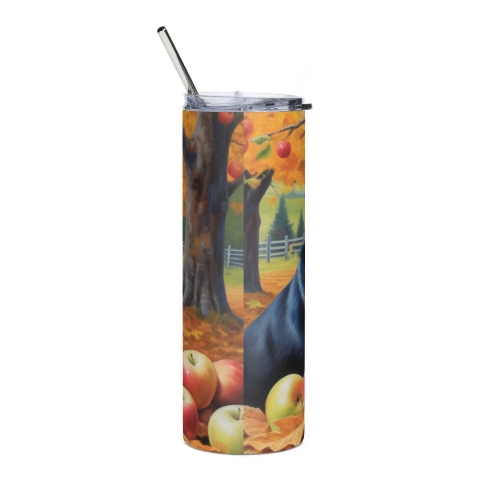 Stainless Steel Tumbler