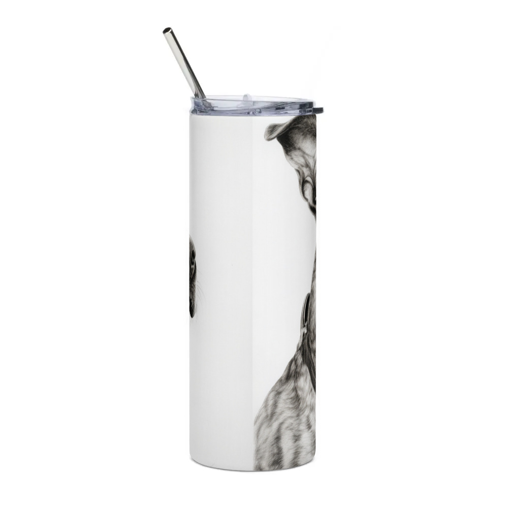 Stainless Steel Tumbler