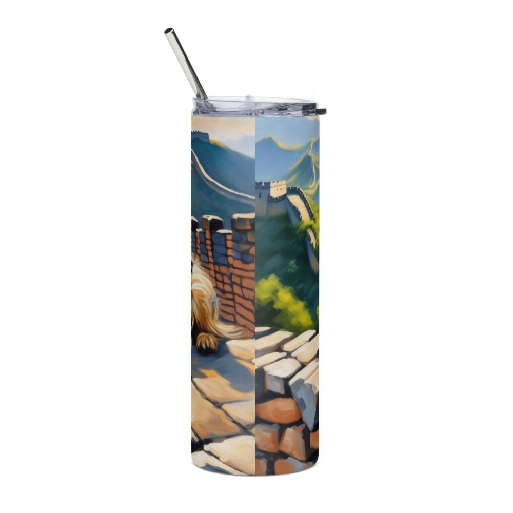 Stainless Steel Tumbler