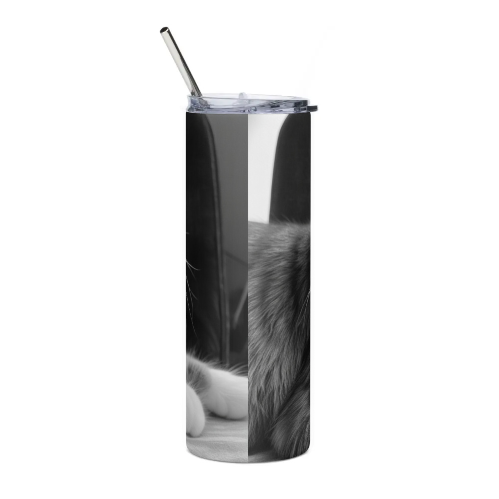 Stainless Steel Tumbler