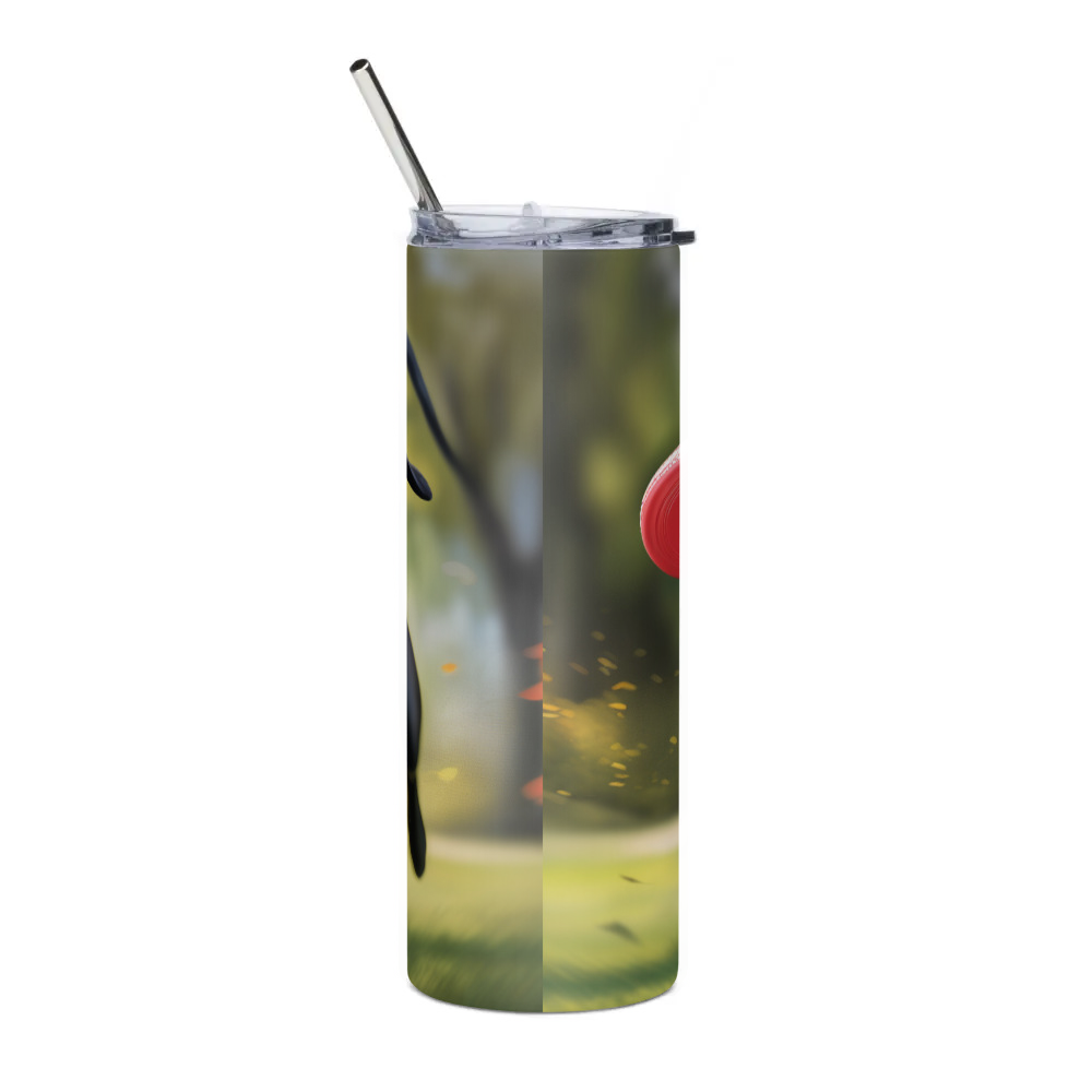 Stainless Steel Tumbler