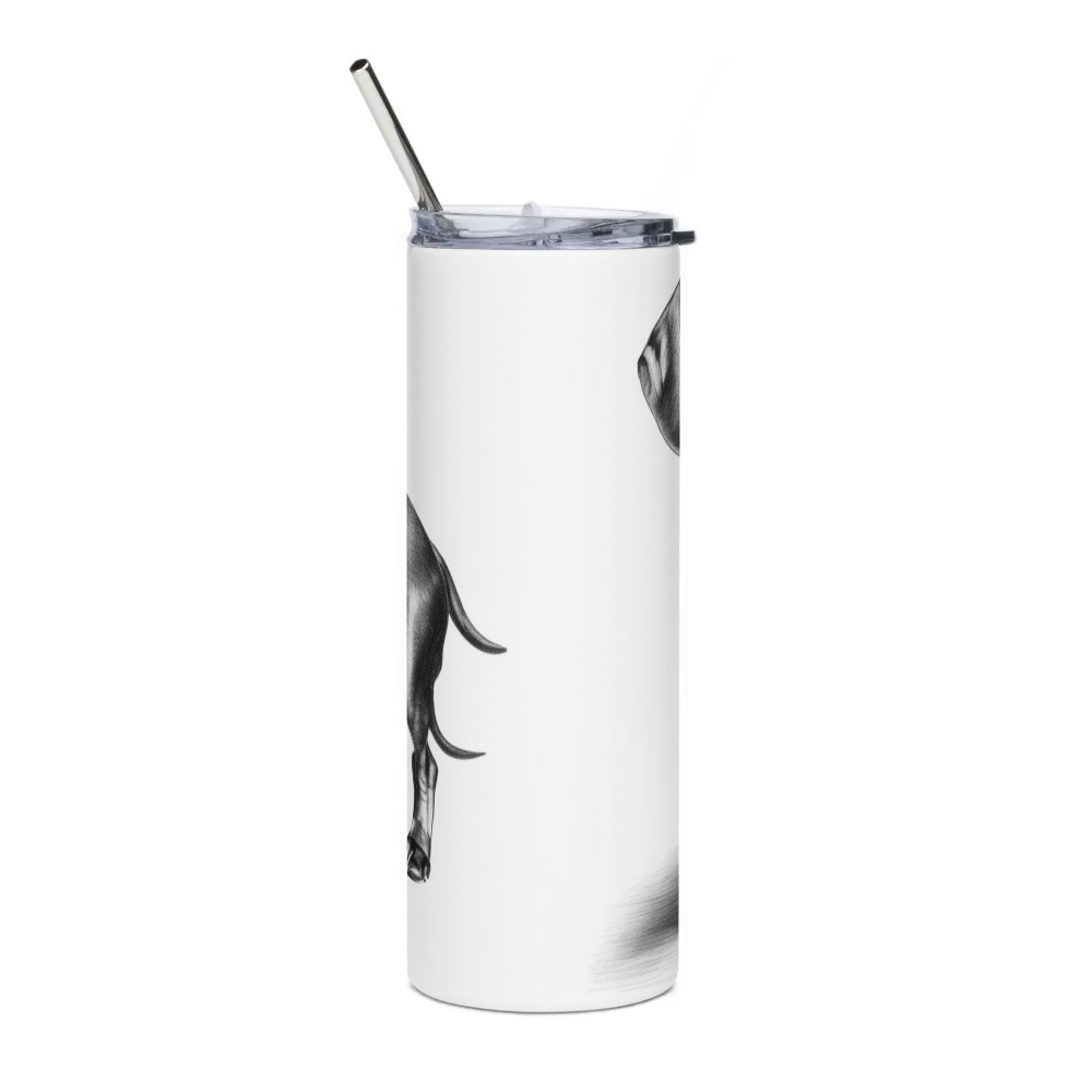 Stainless Steel Tumbler
