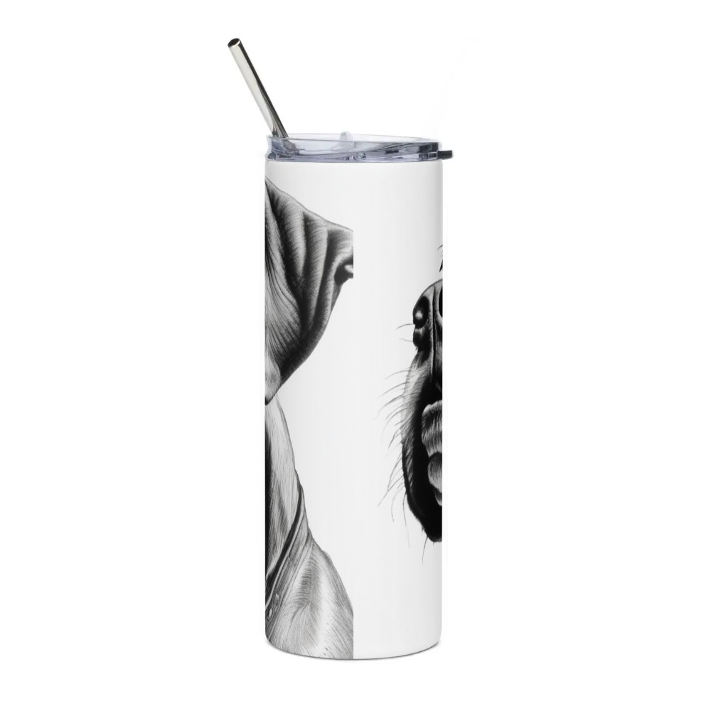 Stainless Steel Tumbler