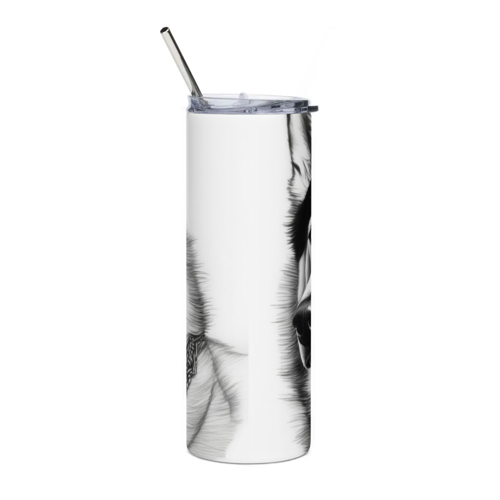 Stainless Steel Tumbler