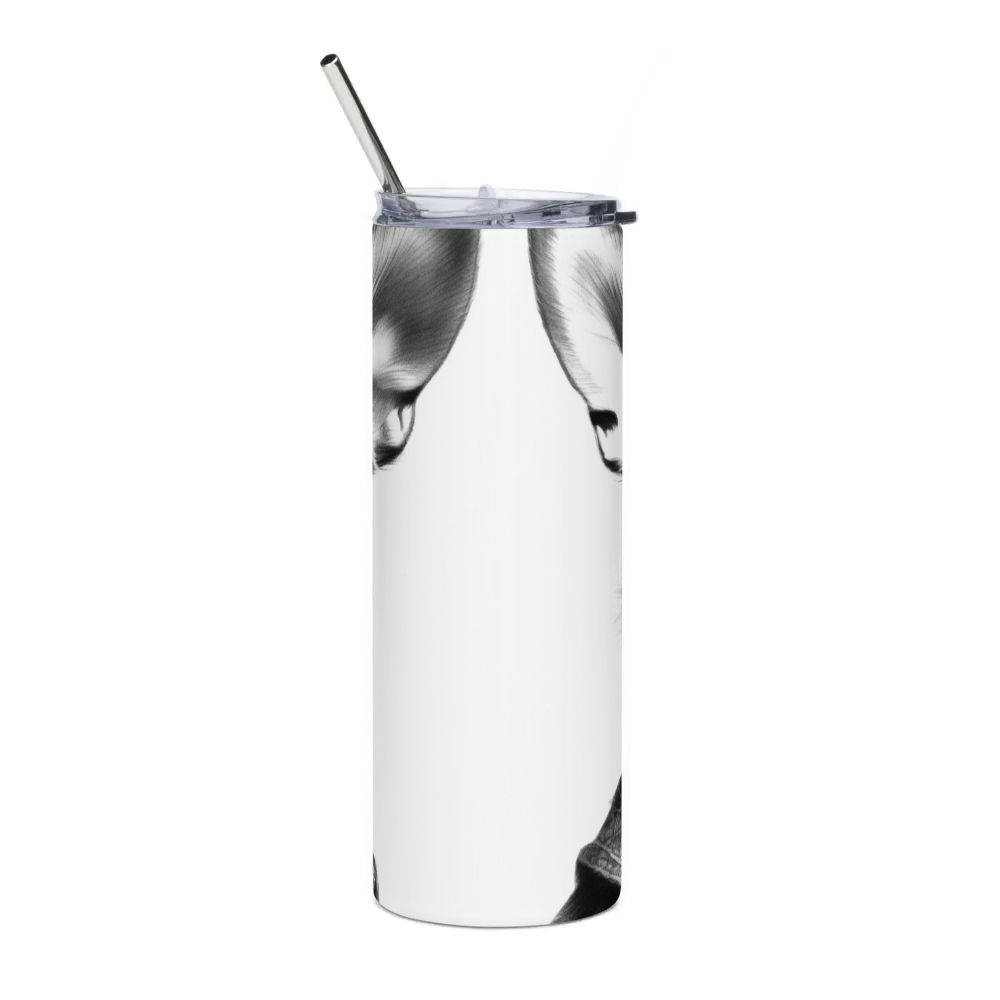 Stainless Steel Tumbler