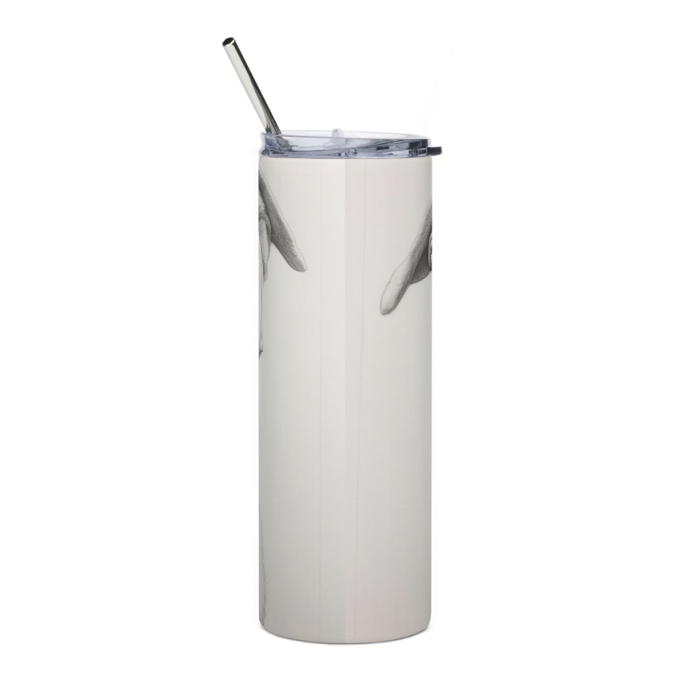 Stainless Steel Tumbler