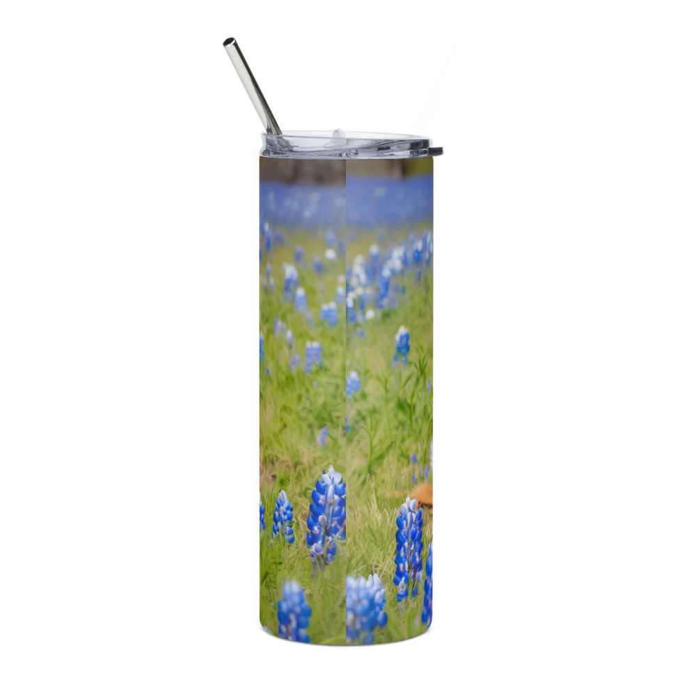 Stainless Steel Tumbler