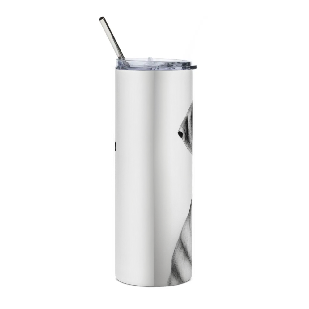 Stainless Steel Tumbler