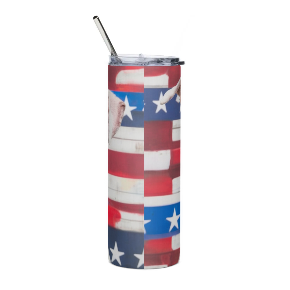 Stainless Steel Tumbler