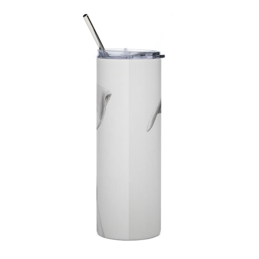 Stainless Steel Tumbler