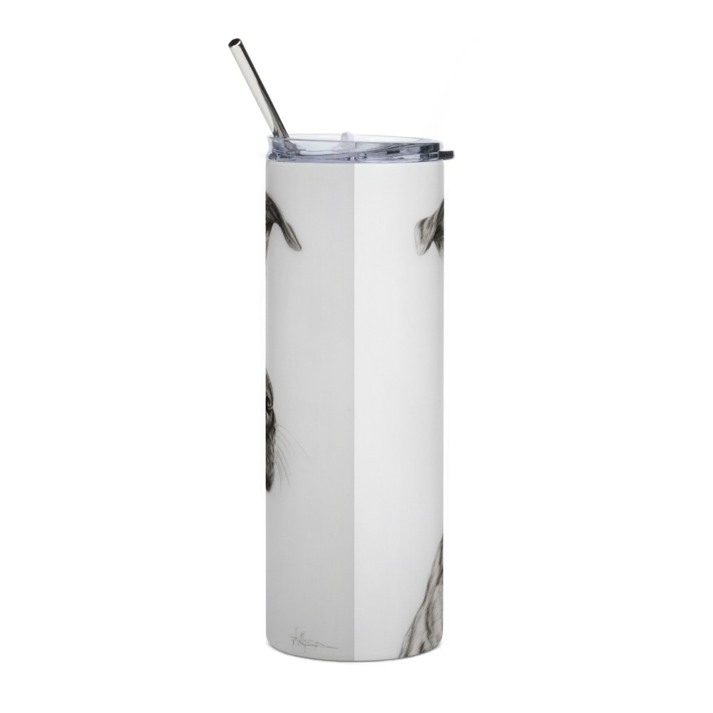 Stainless Steel Tumbler
