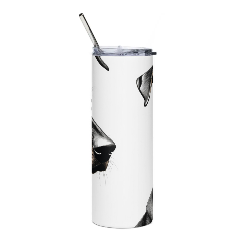 Stainless Steel Tumbler