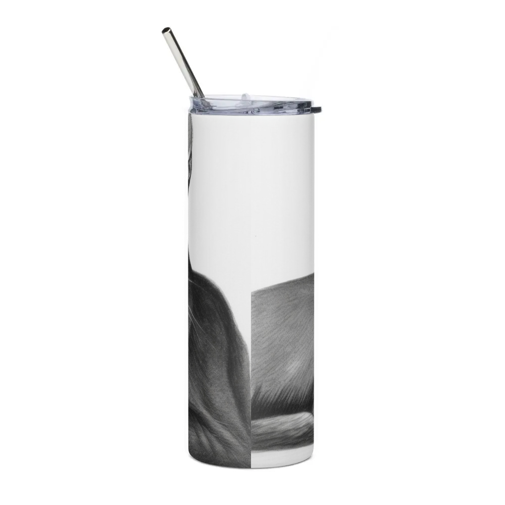 Stainless Steel Tumbler
