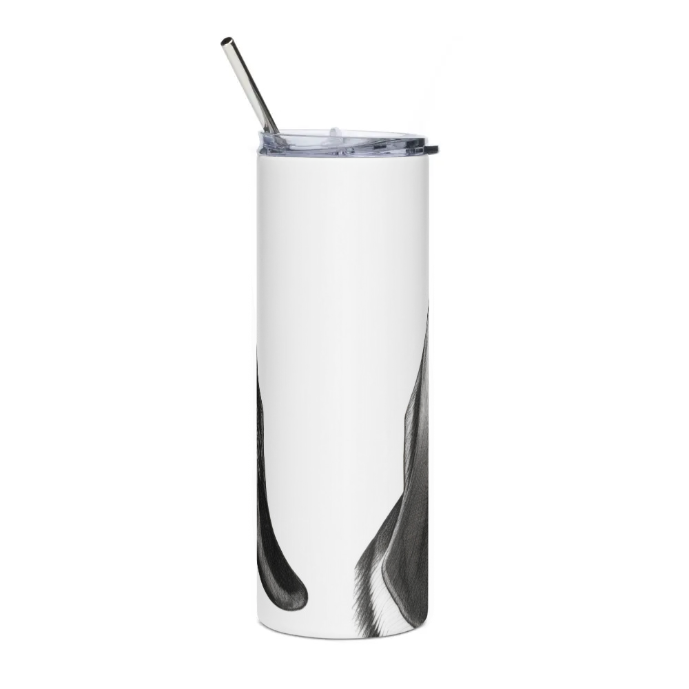 Stainless Steel Tumbler