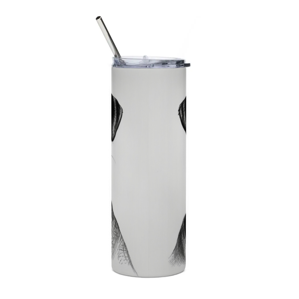 Stainless Steel Tumbler