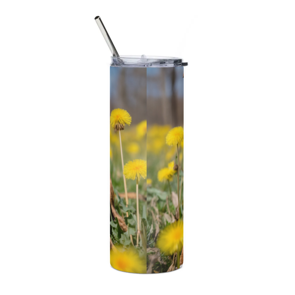 Stainless Steel Tumbler