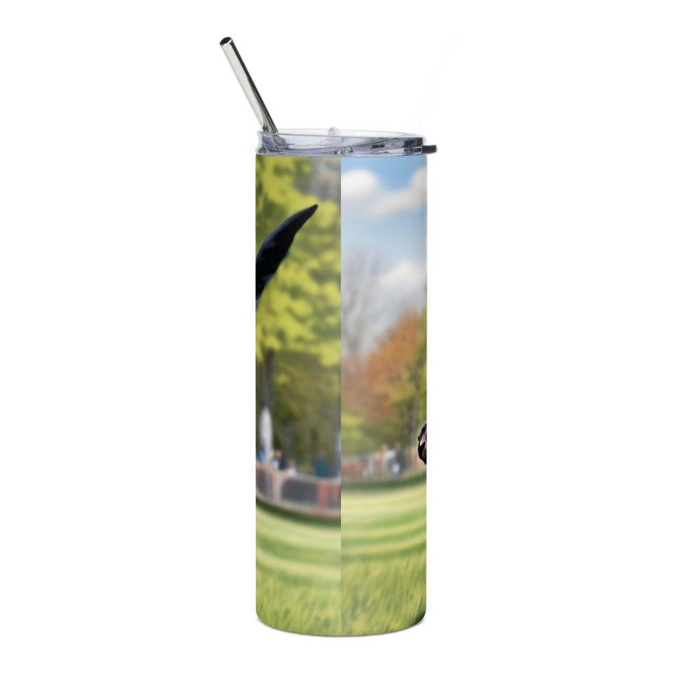 Stainless Steel Tumbler
