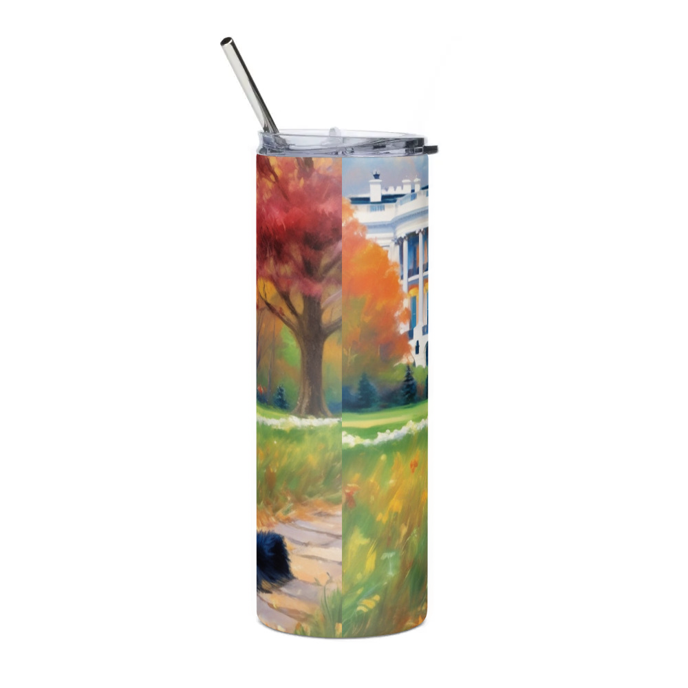 Stainless Steel Tumbler