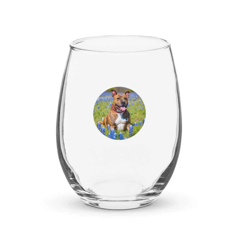PugMug Custom Tony Hawk Stemless Wine Glass