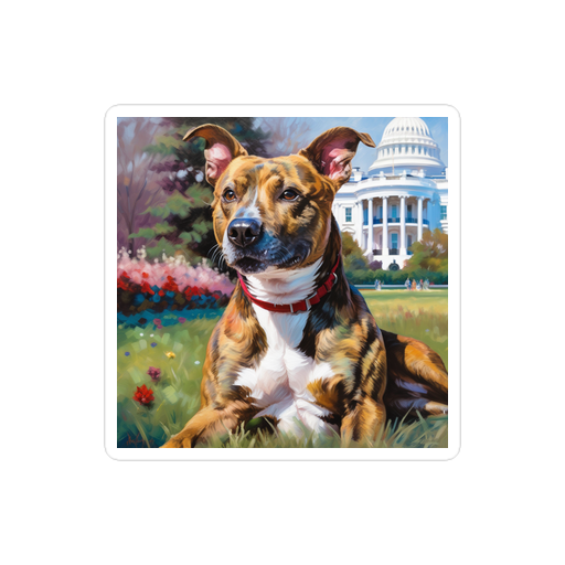 PugMug Custom Tony Hawk Sticker