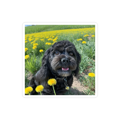 PugMug Custom Lily Sticker