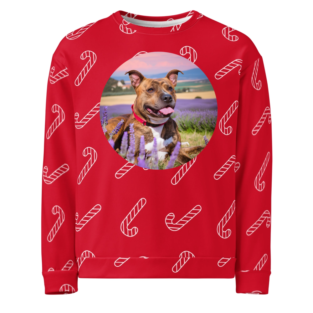 PugMug Custom Tony Hawk Ugly Christmas Sweatshirt