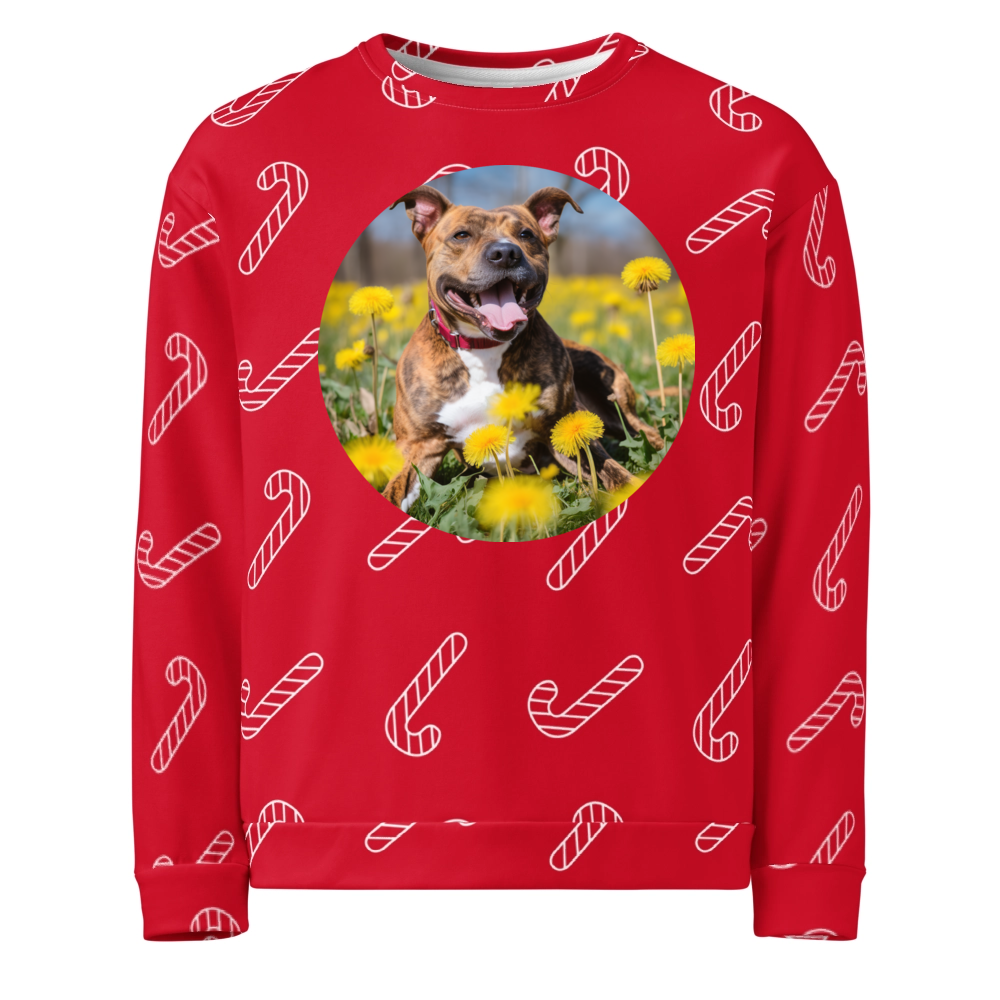 PugMug Custom Tony Hawk Ugly Christmas Sweatshirt